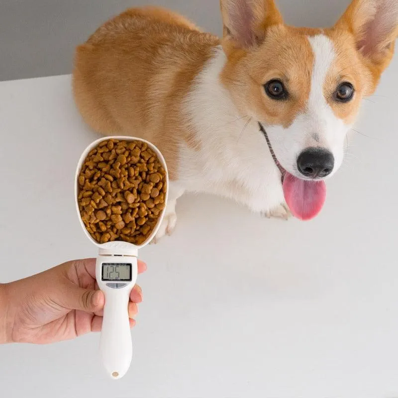 Electronic Measuring Spoon