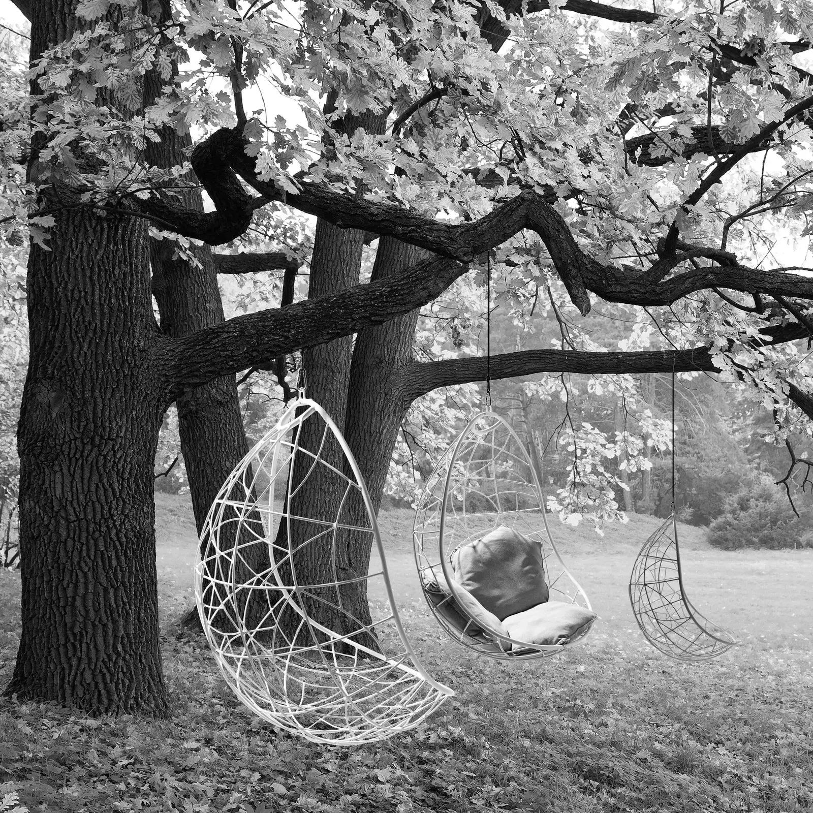 Nest Egg Hanging Swing Chair in Glossy White
