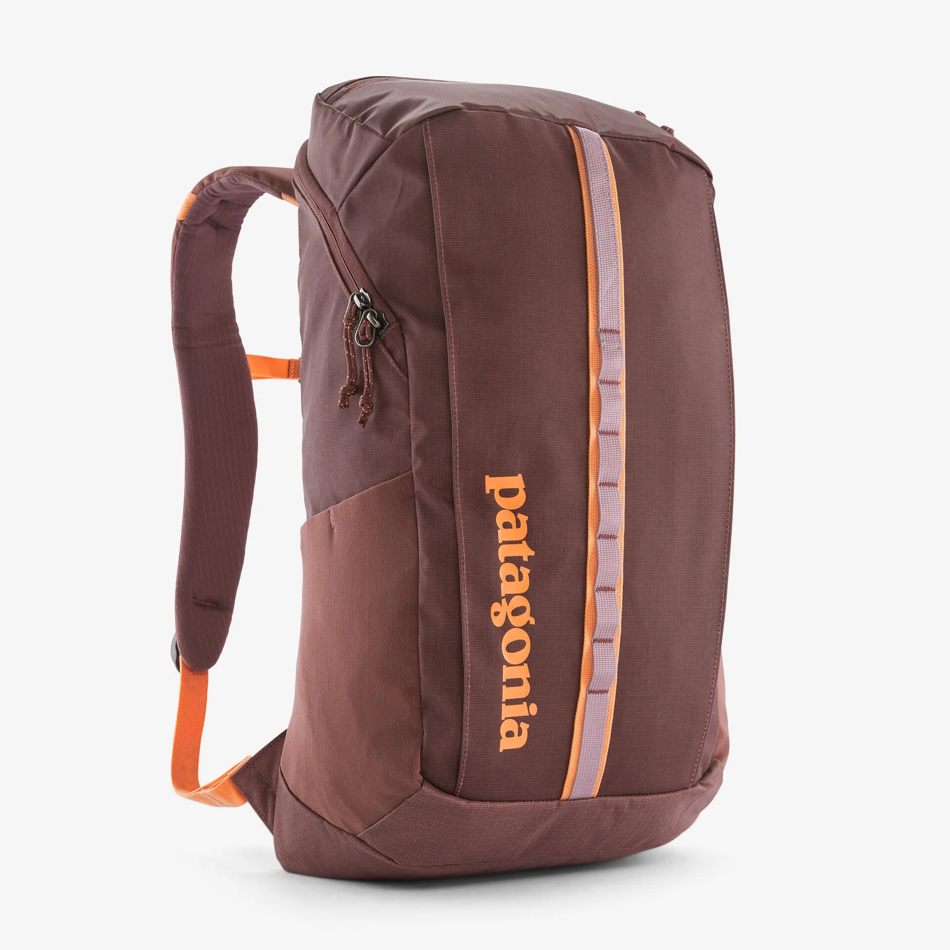Patagonia Black Hole Pack 25L Backpack