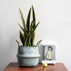 Spring Weave Wicker Basket Planter